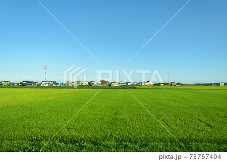 松島海岸駅から石巻駅までの仙石線/仙石東北ライン車窓からの風景 松島海岸駅から石巻駅までの仙石線/仙石東北ライン車窓からの風景 73767404