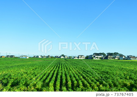 松島海岸駅から石巻駅までの仙石線/仙石東北ライン車窓からの風景 73767405