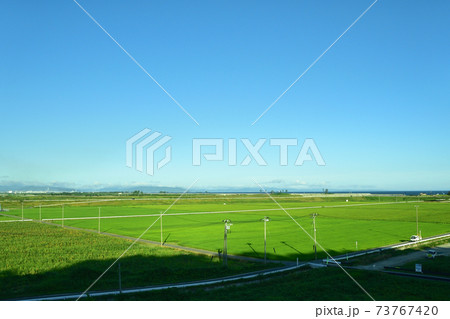 松島海岸駅から石巻駅までの仙石線/仙石東北ライン車窓からの風景 73767420