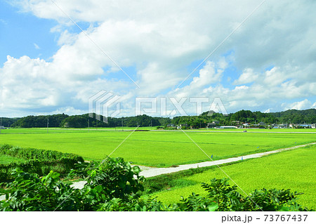 松島海岸駅から石巻駅までの仙石線 仙石東北ライン車窓からの風景の写真素材