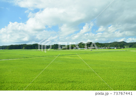 松島海岸駅から石巻駅までの仙石線/仙石東北ライン車窓からの風景 松島海岸駅から石巻駅までの仙石線/仙石東北ライン車窓からの風景 73767441