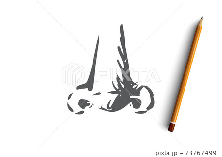 Smell, nose, organ, sense, anatomy concept. Hand drawn isolated vector. Smell, nose, organ, sense, anatomy concept. Hand drawn isolated vector. 73767499