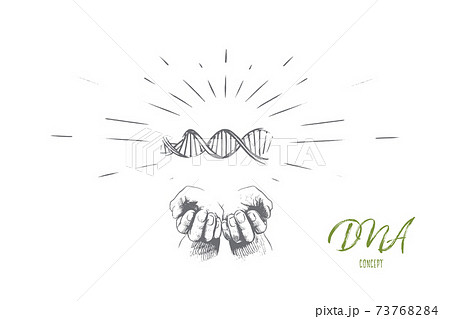 DNA concept. Hand drawn isolated vector. 73768284
