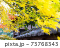 紅葉越しの瓦 73768343