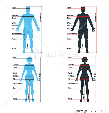 Female Size Chart Anatomy Human Character, People Dummy Front And