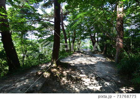 宮城県東松島市宮戸島の風景 宮城県東松島市宮戸島の風景 73768775