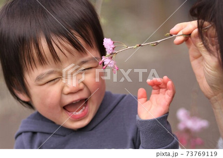 桜の枝を顔に近づけられて無邪気な笑顔を見せる2歳の男の子の写真素材