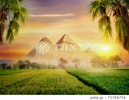 Pyramids in green field Pyramids in green field 73769756