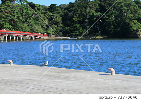 宮城県宮城郡松島町、松島の風景 宮城県宮城郡松島町、松島の風景 73770040