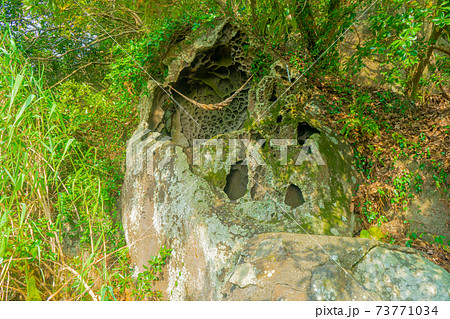 若尊神社 若尊神社 73771034