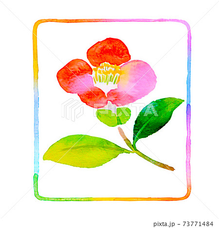 シンプルな水彩風の椿のイラストのイラスト素材