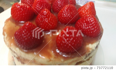 フレジエ断面 フレジエ断面 73772110