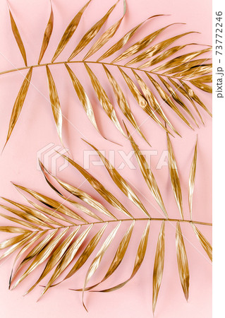 Gold tropical palm leaves on pink background. Flat lay, top view minimal concept. 73772246