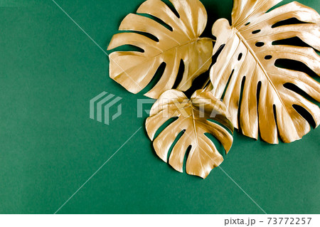 Gold tropical palm leaves Monstera on green background. Flat lay, top view minimal concept. Gold tropical palm leaves Monstera on green background. Flat lay, top view minimal concept. 73772257