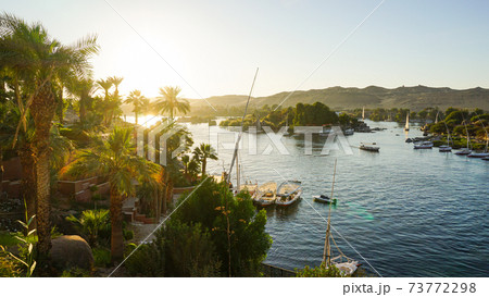 Nile river bank in Egypt sunset sky and palm tree with sand dessert slope in the back 73772298