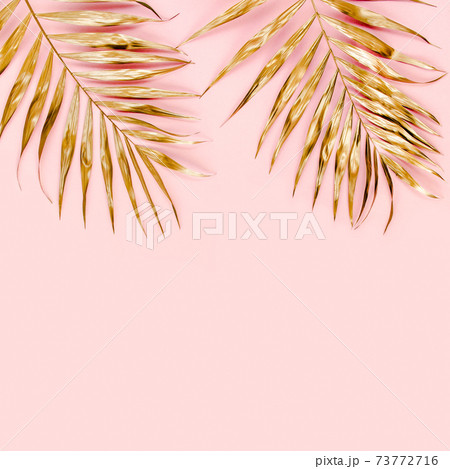 Gold tropical palm leaves on pink background. Flat lay, top view minimal concept. Gold tropical palm leaves on pink background. Flat lay, top view minimal concept. 73772716