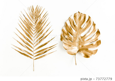Gold tropical palm leaves Monstera on white background. Flat lay, top view minimal concept. Gold tropical palm leaves Monstera on white background. Flat lay, top view minimal concept. 73772779