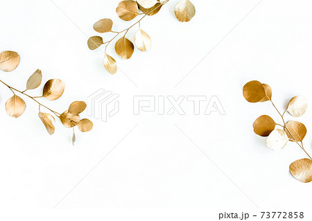 Borders of the frame of gold branches, eucalyptus leaves on a white background. flat layout, top view 73772858