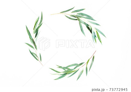 Round wreath frame made of branches eucalyptus isolated on white background. lay flat, top view Round wreath frame made of branches eucalyptus isolated on white background. lay flat, top view 73772945