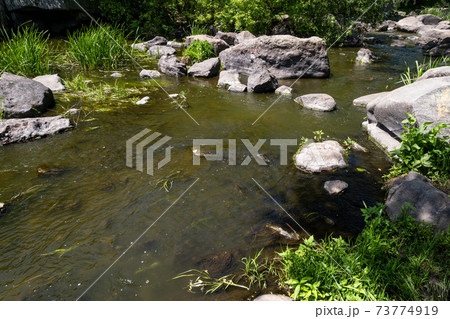 Buky Canyon summer landscape, Hirskyi Tikych river, Cherkasy Region, Ukraine. Buky Canyon summer landscape, Hirskyi Tikych river, Cherkasy Region, Ukraine. 73774919