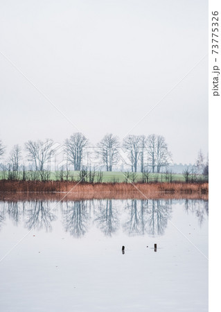 Picturesque winter landscape of frozen trees and reflection in the lake 73775326