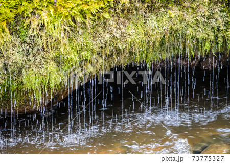 Water stream flowing of moss-covered boulders and rocks. Spring in the forest Water stream flowing of moss-covered boulders and rocks. Spring in the forest 73775327