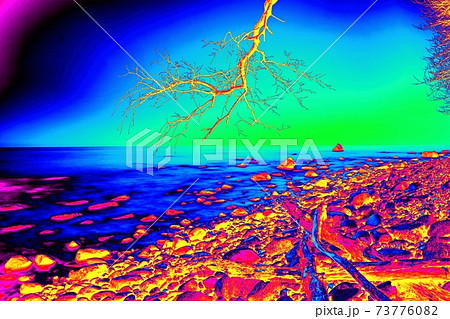 Tropical beach at sunset - nature background 73776082