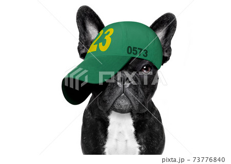 cool baseball cap urban dog cool baseball cap urban dog 73776840