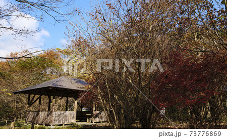 静岡県富士宮市小田貫湿原の秋 静岡県富士宮市小田貫湿原の秋 73776869