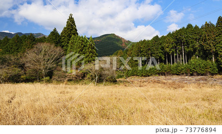静岡県富士宮市小田貫湿原の秋 静岡県富士宮市小田貫湿原の秋 73776894