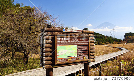 静岡県富士宮市小田貫湿原の秋 静岡県富士宮市小田貫湿原の秋 73776900