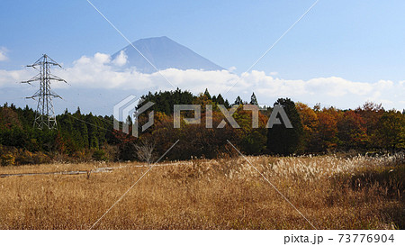 静岡県富士宮市小田貫湿原の秋 静岡県富士宮市小田貫湿原の秋 73776904