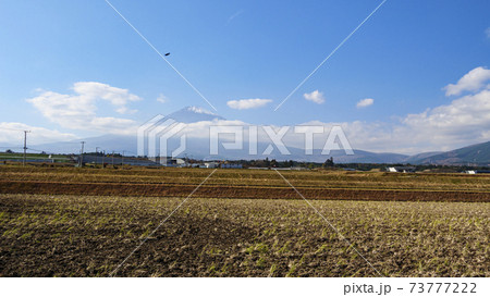 御殿場の田んぼからみた富士山 73777222