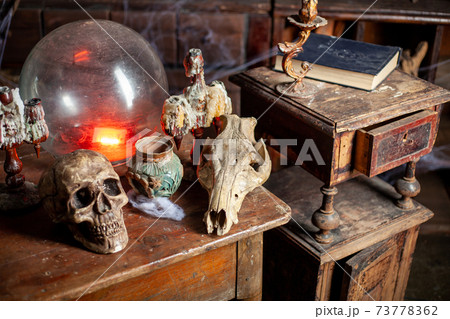 Halloween background Shelves with alchemy tools Skull spiderweb bottle with poison candles Halloween background Shelves with alchemy tools Skull spiderweb bottle with poison candles 73778362