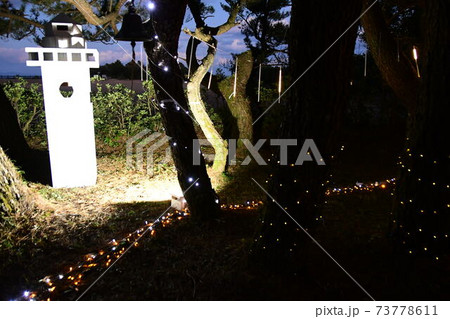 安乗　イルミネーション 73778611