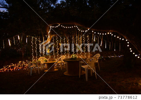 安乗　イルミネーション 73778612