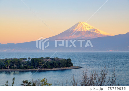 富士山(1月　西伊豆　大瀬崎) 73779036