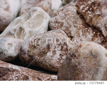 Pebbles on the coast. Natural background for your projects. Travel concept. 73779487