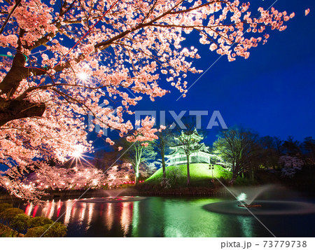 高田城址公園の夜桜 高田城址公園の夜桜 73779738