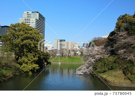 「千鳥ヶ淵」春の風景　千代田区 73780045