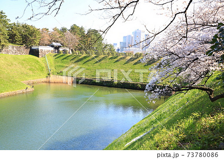 「千鳥ヶ淵」春の風景 千代田区 「千鳥ヶ淵」春の風景 千代田区 73780086