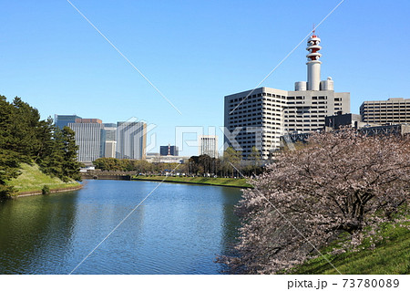 「千鳥ヶ淵」春の風景 千代田区 「千鳥ヶ淵」春の風景 千代田区 73780089