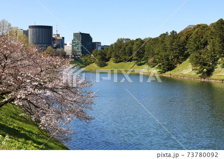 「千鳥ヶ淵」春の風景　千代田区 73780092