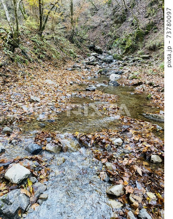 御嶽山を流れる小川 73780097