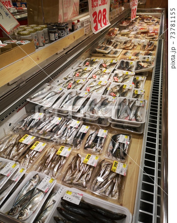 魚屋 魚屋 73781155