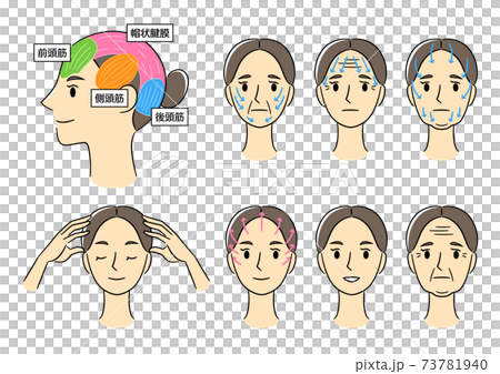 女性 顔 たるみ 頭皮 マッサージ 線ありセット 73781940