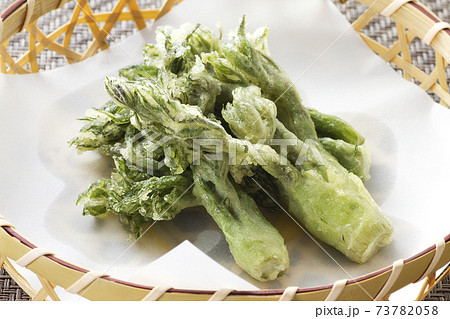 タラの芽の天ぷら12 73782058