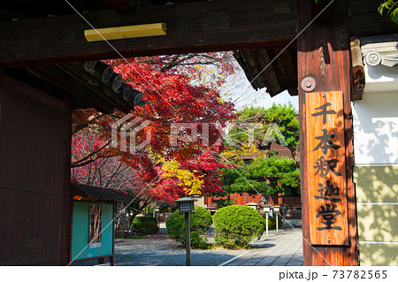 京都　千本釈迦堂の紅葉 73782565