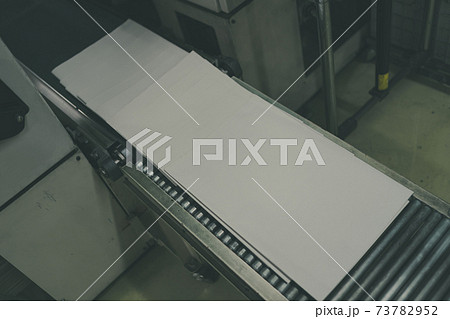 白損 白損 73782952