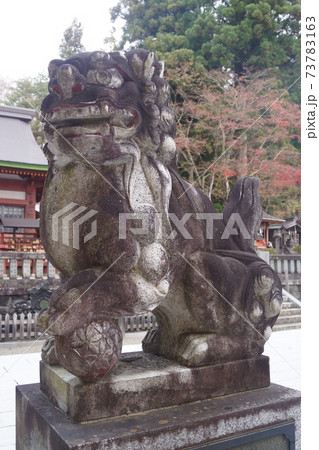 遠野郷八幡宮 遠野郷八幡宮 73783163